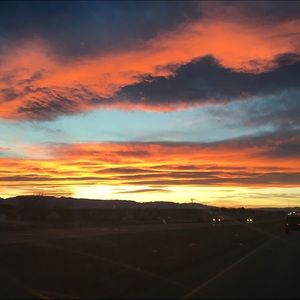 Meet your Posher, Maddy