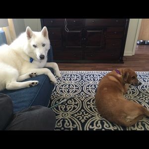 Meet your Posher, Joahna mae