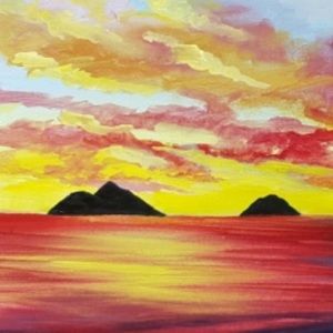 Meet your Posher, Anolani