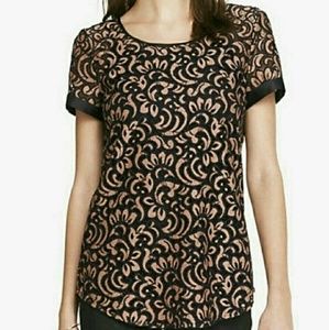 Beautiful Express top ⭐