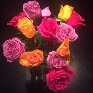 Meet your Posher, Lesley