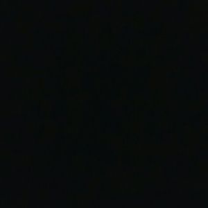 Meet your Posher, Abbie