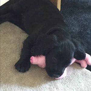 Meet your Posher, Jamie