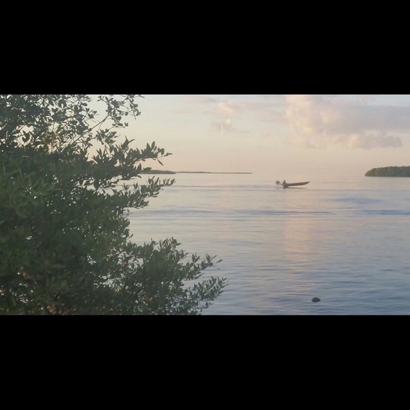 Meet your Posher, Dahlia - Picture 1 of 1