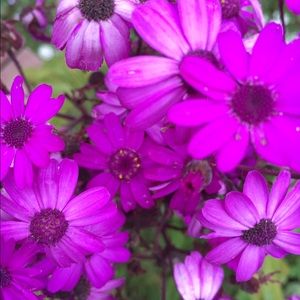 Meet your Posher, Keara