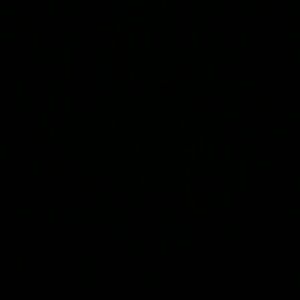 Meet your Posher, Ana