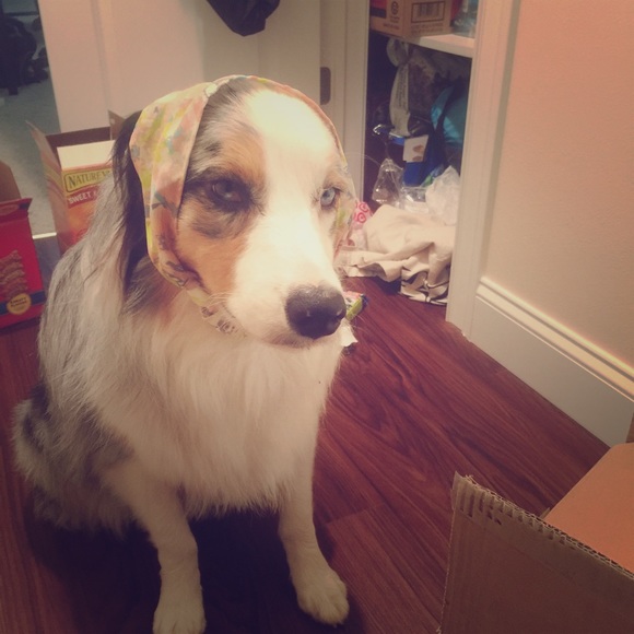 Moving. And the movers say I have too many boxes - Picture 1 of 4