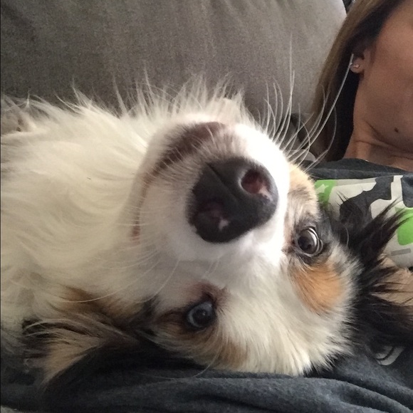 Moving. And the movers say I have too many boxes - Picture 4 of 4