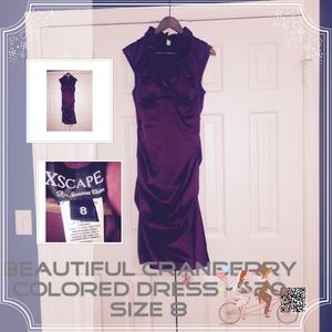 Cranberry Cocktail - Dress that is!🍸