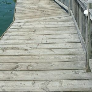 Meet your Posher, Alana