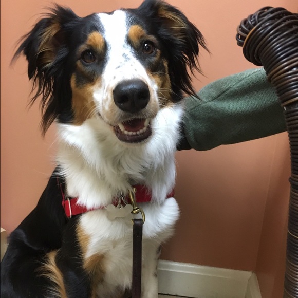 Meet your Posher, Js - Picture 1 of 1