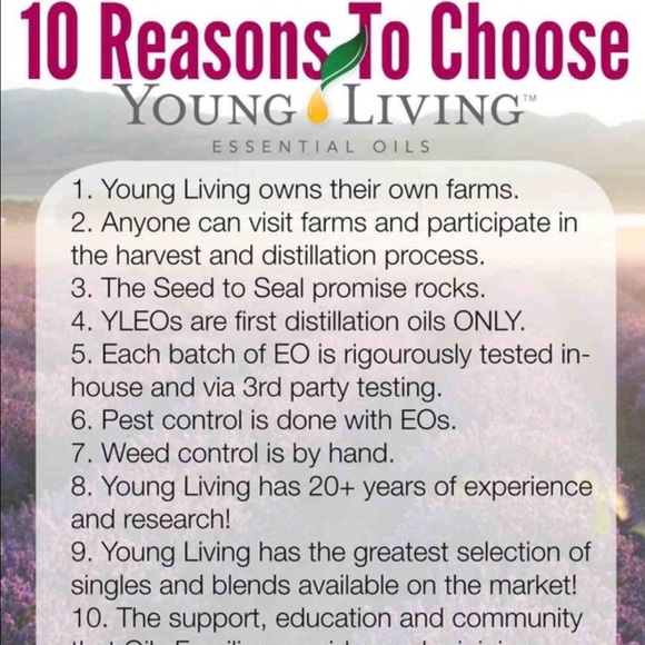 Young Living Essential Oils 100% natural - Picture 4 of 4
