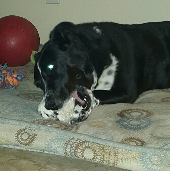 Meet your Posher, Chad - Picture 1 of 1