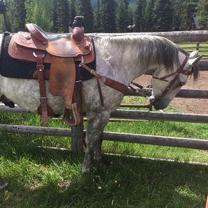 Meet your Posher, Jaim