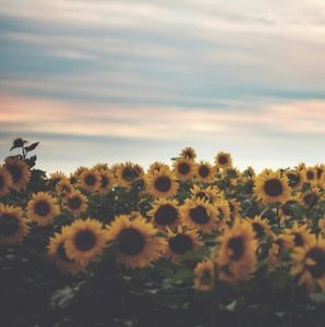 Meet your Posher, Maddison