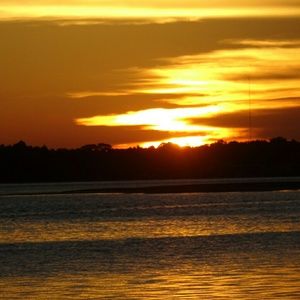 Meet your Posher, Ann