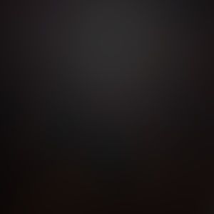 Meet your Posher, Sylvia