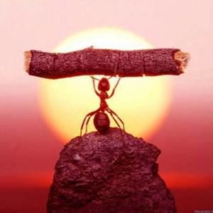 Meet your Posher, Martha