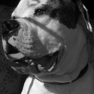 Meet your Posher, Donette