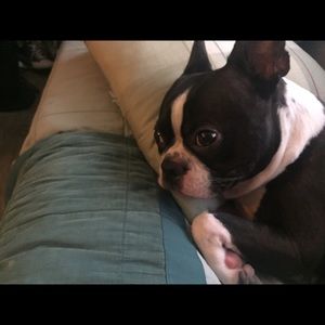 Meet your Posher, Leen