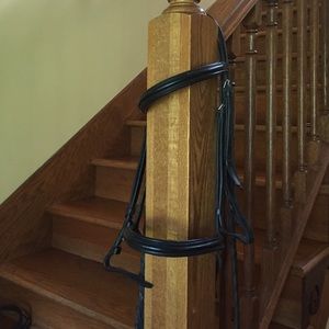 Black wintec bridle