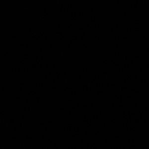 Meet your Posher, Rita