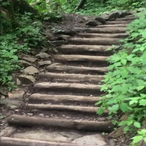 Meet your Posher, Anne