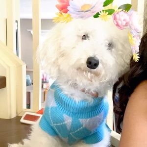 Meet your Posher, Jamie