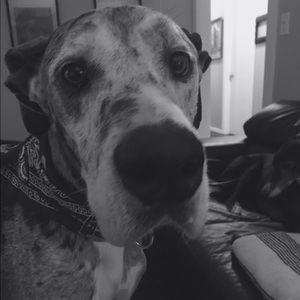 Meet your Posher, Karlie