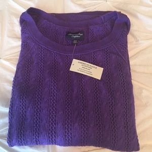 American Eagle Purple Cable sweater