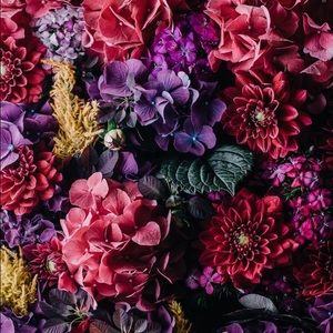 Meet your Posher, Jevonda