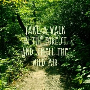 Meet your Posher, Kite