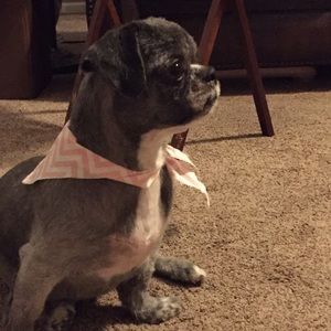 Meet your Posher, Jan