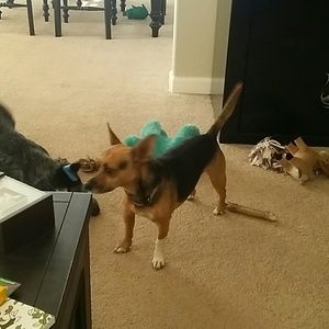 Meet your Posher, Jami