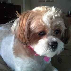 Meet your Posher, Nell