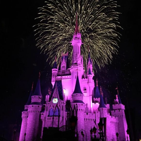 Meet your Posher, Roxanne - Picture 1 of 1