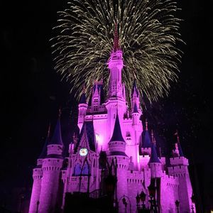 Meet your Posher, Roxanne