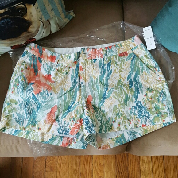 Old Navy shorts size 2