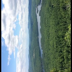 Meet your Posher, Ella