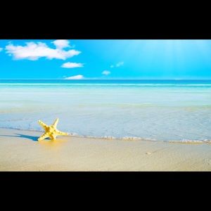 Meet your Posher, Cassie