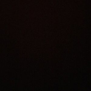 Meet your Posher, Laney