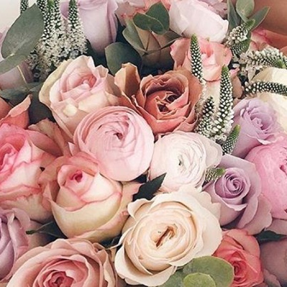 Meet your Posher, Barbara