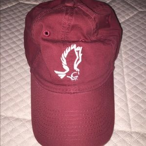 Roger Williams University baseball hat