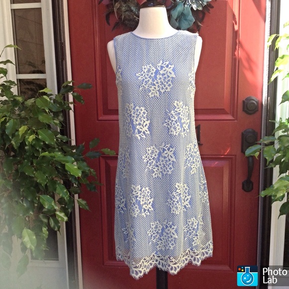 Max Studio Dresses & Skirts - Max Studio Lace Shift
