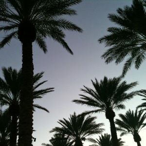 Meet your Posher, Claire