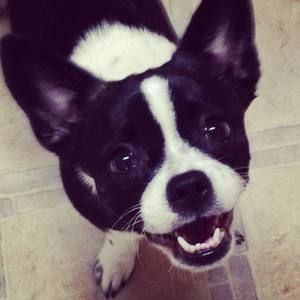 Meet your Posher, Lori