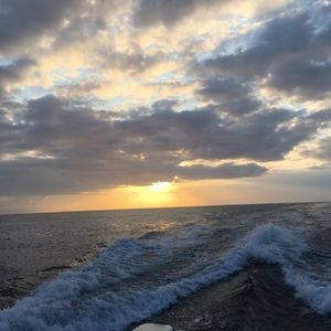 Meet your Posher, Xaviera