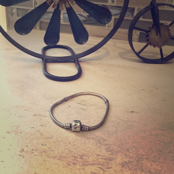 Pandora sterling silver charm bracelet
