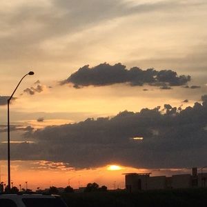 Meet your Posher, Sadie