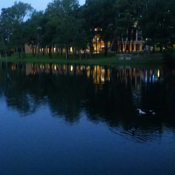 Meet your Posher, Aimie